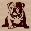 A realistic illustration of a bulldog sitting on its haunches, created as vector art.