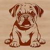 A sitting bulldog, a popular breed of domesticated dog.