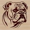 Close-Up Dog Head Design A close-up illustration of a bulldog's head, suitable for printing or cutting out with a Cricut machine.