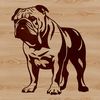 Lovable Mutt on Hind Legs A loyal bulldog standing on its hind legs.