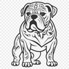 Beautiful Standing Bulldog Vector Image