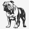 Artistic Bulldog In PNG - Free Digital Download