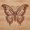 A detailed, hand-drawn illustration of a butterfly with intricate features.