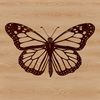 Beautiful Insect Design Vector A colorful butterfly with wings spread wide, suitable for vector graphics and digital designs.