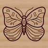Simple Vector Butterfly Design A simple line drawing of a colorful insect with wings spread wide.