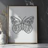 Stunning Butterfly Illustration