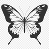 Artistic Butterfly Design