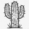 Cactus Illustration In SVG, PNG, PDF And DXF File Formats