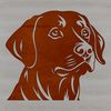 Vector graphic of a Labrador dog with detailed facial features.