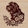 A stylized illustration of a Havanese dog's head in vector format.