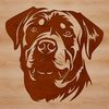 A detailed illustration of a Rottweiler's head and face, ideal for use in crafting and design projects.