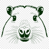 South American Wildlife Illustration An illustration of a large semi-aquatic mammal native to grasslands and wetlands in South America.