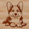 A small to medium-sized dog breed with a sturdy build, characterized by its distinctive short stature and long body.