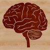 Scalable Brain Illustration for Design A detailed illustration of the human brain's anatomy, created as a scalable vector graphic (SVG).