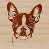 Boston Terrier Breed Close-Up A close-up illustration of a dog's head, a Boston Terrier breed.