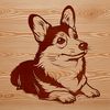 Adorable Dog in a Relaxing Pose A cute Welsh Corgi breed dog lying on its side, suitable for pet owners and animal lovers.