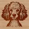 Vector Poodle Head Design A stylized illustration of a poodle's head with detailed features.