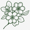 Delicate Sakura Blooms in Bloom A stylized illustration of a cherry blossom tree in bloom, featuring delicate pink flowers against a green background.