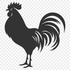 Unique Chicken SVG