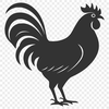 Stunning Chicken Decal