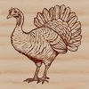 Christmas Turkey Vector Graphic A realistic illustration of a farm animal, commonly associated with Christmas, depicted in vector format.