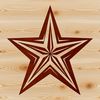 A Beautiful Star Illustration in Vector Format A simple 5-pointed star illustration in vector format.