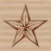 Illustrated star graphic icon