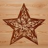 Free Star Icon in Scalable Vector Format A stylized star symbol created as a scalable vector graphic.