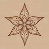 A geometric star shape designed as vector art.