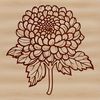 Green Stemmed Chrysanthemum Flower Vector Art A single white chrysanthemum flower with yellow center on a green stem.