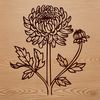 Beautiful Digital Flower Art A digital illustration of a single chrysanthemum flower with detailed petals and center.