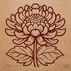 Chrysanthemum Flower in Full Bloom A detailed illustration of a single chrysanthemum flower with petals in bloom.