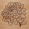 Blooming Floral Beauty A high-quality illustration of a Chrysanthemum flower in full bloom.