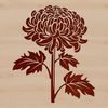 Vibrant Blooming Chrysanthemum SVG A detailed illustration of a blooming chrysanthemum flower in full color, suitable for various design purposes.
