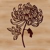 Beautiful Chrysanthemum Bloom Vector Art Close-up of a chrysanthemum bloom with intricate flower parts in a vector graphic format.