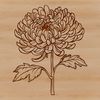 Stylized Floral Design SVG A stylized illustration of a chrysanthemum flower in various stages of bloom, suitable for floral design projects.