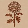 A detailed illustration of a Chrysanthemum flower with petals and center in vector format.