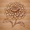 Close-Up Floral Design SVG File A close-up illustration of a single chrysanthemum flower with petals and center detail.