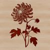 Single White Chrysanthemum Illustration A vector illustration of a single white chrysanthemum flower with yellow center on a green stem.