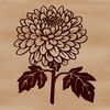 A stylized illustration of a chrysanthemum flower in bloom.