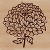Blooming Chrysanthemum Floral Design A vector graphic illustration of a blooming Chrysanthemum flower with intricate details.