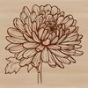 Stylized Chrysanthemum Flower Art A stylized illustration of a Chrysanthemum flower in full bloom, suitable for gardening and floral designs.