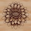 A stylized illustration of a Chrysanthemum flower, ideal for gardening or floral-themed projects.