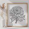 Chrysanthemum In PDF Format - Free Digital Download, Commercial Use