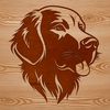 Golden Retriever Portrait A detailed vector illustration of a Golden Retriever's head, suitable for digital designs and craft projects.