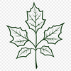 A detailed illustration of a single leaf with intricate veins.