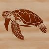 A simple line drawing of a sea turtle in a coastal environment.