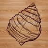 Seashell illustration designed as a vector graphic for use in digital designs.