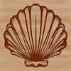 Beautiful Shell Graphic Design Element A detailed illustration of a seashell, suitable for use in graphic design projects.