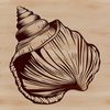A free-form seashell graphic, ideal for use in digital design projects.